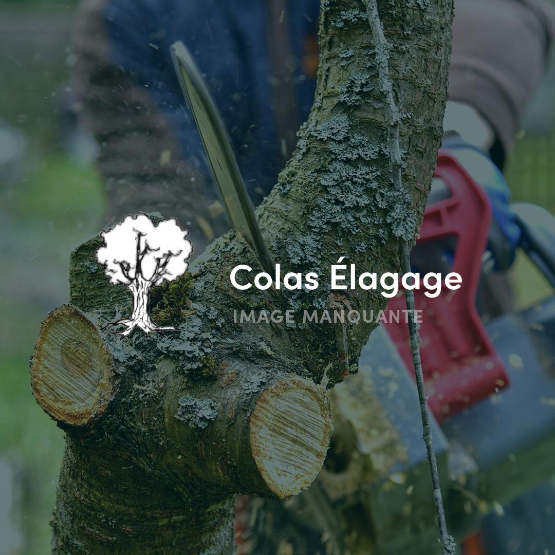 Colas Élagage